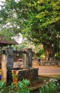 Goa_Village